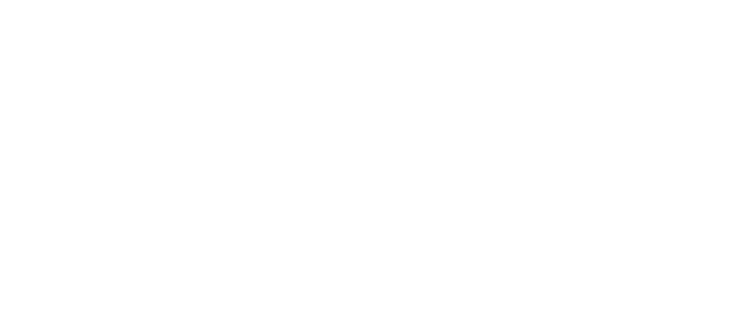 The Dash